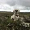 Louise Bowman - @louise.bowman6 - TikTok