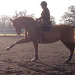 Louise Boxall - @louiseboxall1 - Instagram