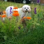 Louise Branson - @groovylou67 - Instagram