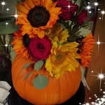 Sharon Louise Bronson - @bronsonsharon - Instagram