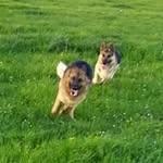 louise broughton - @broughton3453 - Instagram