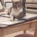 Louise Bryan - Facebook