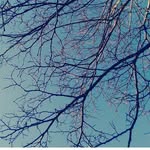 Louise Bryan - @louisebryan_photography - Instagram