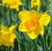 Louise Chamberlain - Facebook
