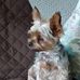 Louise Chartier - Facebook