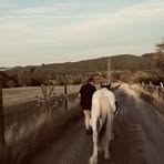 Louise Clancy - Facebook