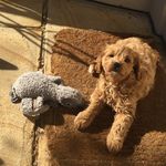 Louise Compton - @louisemillis - Instagram