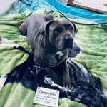 Louise Cooley - @louise.cooley.9 - Instagram