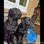 Louise Corcoran - @louisecorcoran1 - Instagram