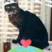 Louise de Vries - Facebook
