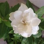 Louise DeVries - @fourchinitdev - Instagram