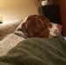 Louise Dotson - Facebook