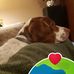 Louise Dotson - Facebook