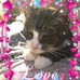 Louise Ely - Facebook