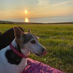 Louise Everett - @everett_louise - Instagram
