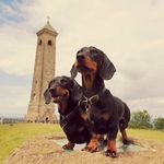 Louise Everett - @louise_everett37 - Instagram