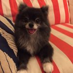 Poppy Louise Mandrell Everett - @poppy_louise - Instagram