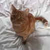 Louise Hand - @louisehand0 - TikTok