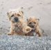 Louise Freeman - Facebook