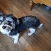 Louise Freeman - Facebook