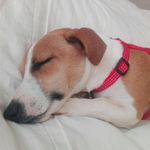 Louise Freeman - @louisefreeman582 - Instagram