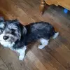 louisefreeman761 - @louisefreeman761 - TikTok