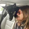 Louise Goffin655 - @louisegoffin - TikTok