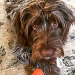 Scout Louise Goff - @boot_scoot_boogie11 - Instagram