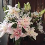 Louise Gorham - @gorham.louise - Instagram