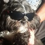Louise Grayson - @louisegrayson - Instagram
