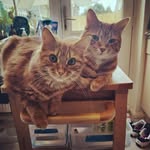 Louise Guy - @blueskyloulou - Instagram