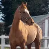 louiseguy - @louiseguy309 - TikTok