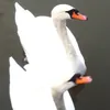 Louisa Hatcher - @louisahatcher1 - TikTok