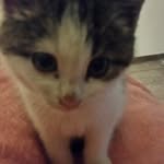 Louise Heldens - @louiseheldens - Instagram