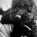 Louise Hendricks - Facebook