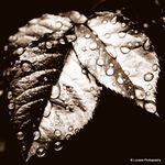Louise Higgins - @lunasaphotography - Instagram