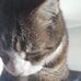 Louise Higgins - Facebook