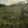 louisehoff397 - @louisehoff397 - TikTok
