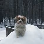 Louise Hooks - @louise.hooks.129 - Instagram
