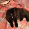 Louise Labbe - @louise.labbe8 - TikTok