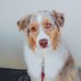 Louise Lanier - Facebook