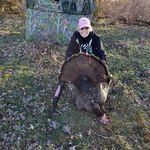 Louise Larson - @louiselarson68 - Instagram