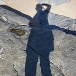 Louise Levy - @louise.levy.business.mentor - Instagram