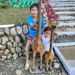 Louise Ling - Facebook