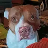 Boomer - @louisemalcolm2 - TikTok