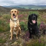 Louise Malcolm - @louise.malcolm.16 - Instagram