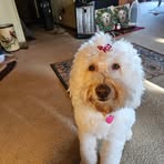 A Louise Mccarter - Facebook
