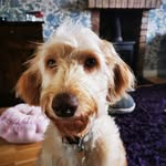 Louise McCarter - @ladymccarter - Instagram