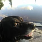 Louise McCormack - @louise.mccormack.79 - Instagram