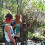 Louise McCormack Hanson - @mccormack.louise - Instagram